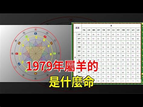 1979五行屬什麼